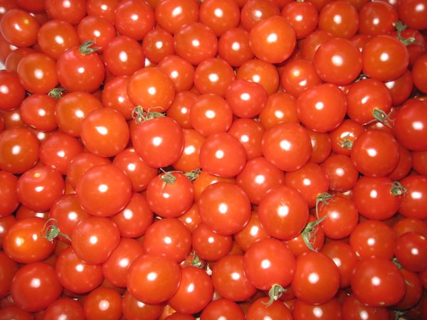 Tomater - mange tomater.